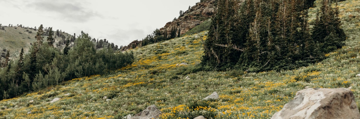 JennieMunson's profile banner image
