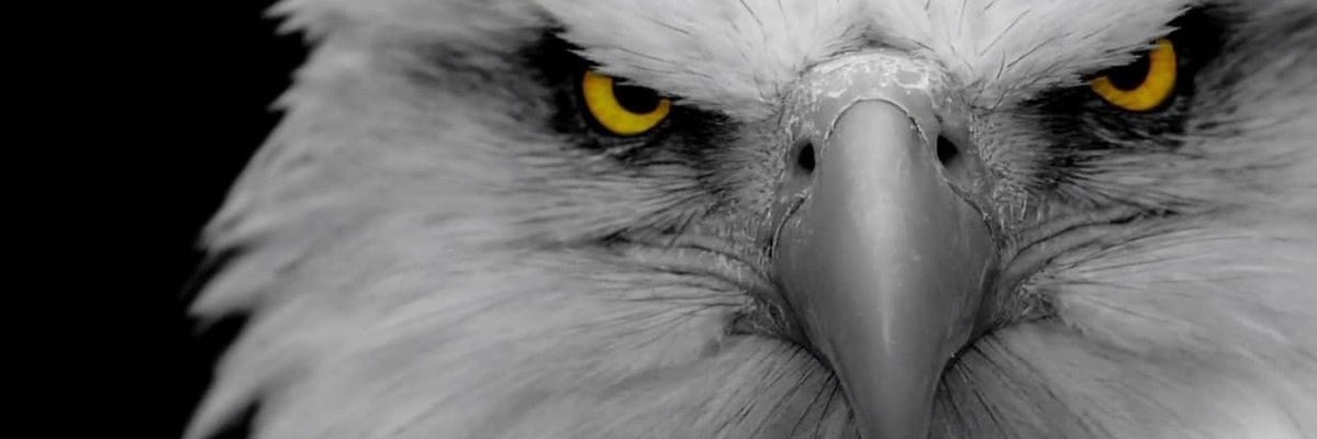 امید🎗️⏲️⌛‍Hope🇺🇸 banner