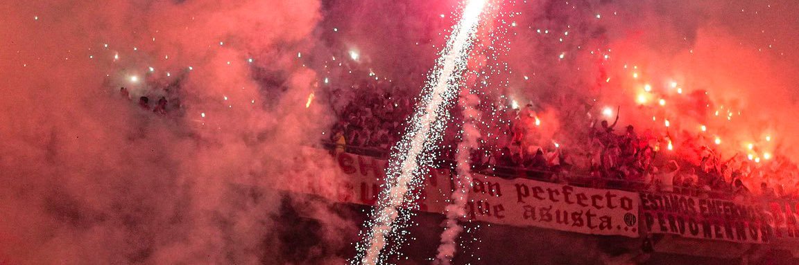 taribareiro's profile banner image