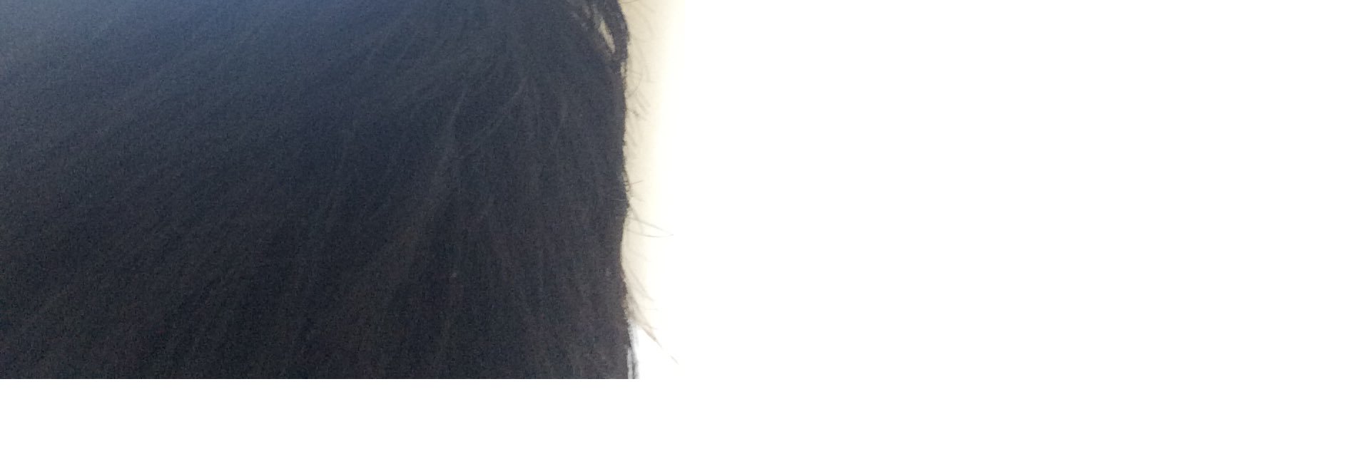 wewweowew's profile banner image