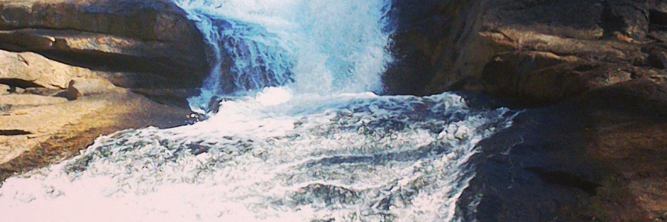 kimiic0's profile banner image