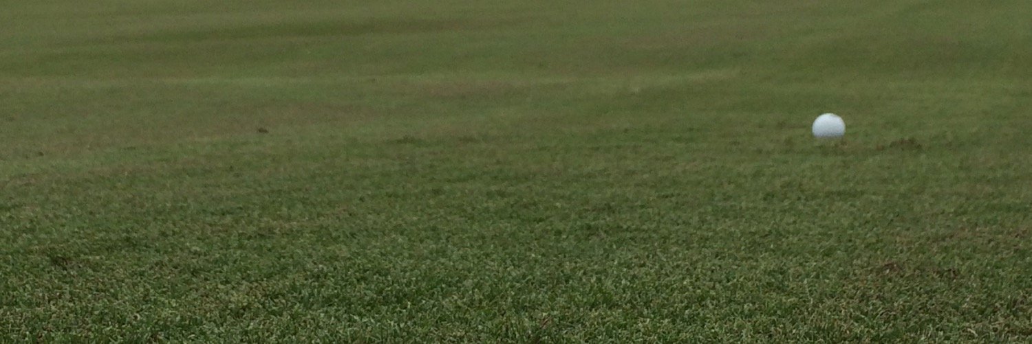 guywes's profile banner image