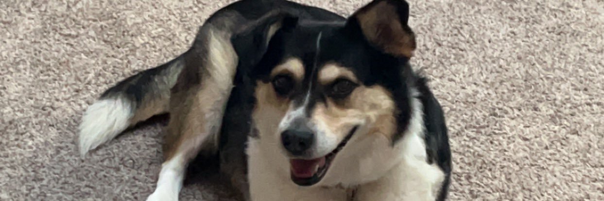 samduff0's profile banner image