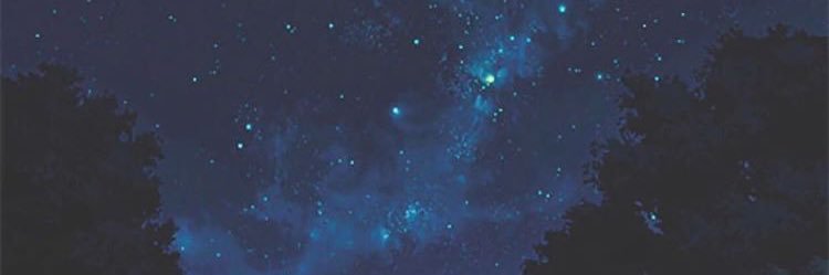 leomo77's profile banner image
