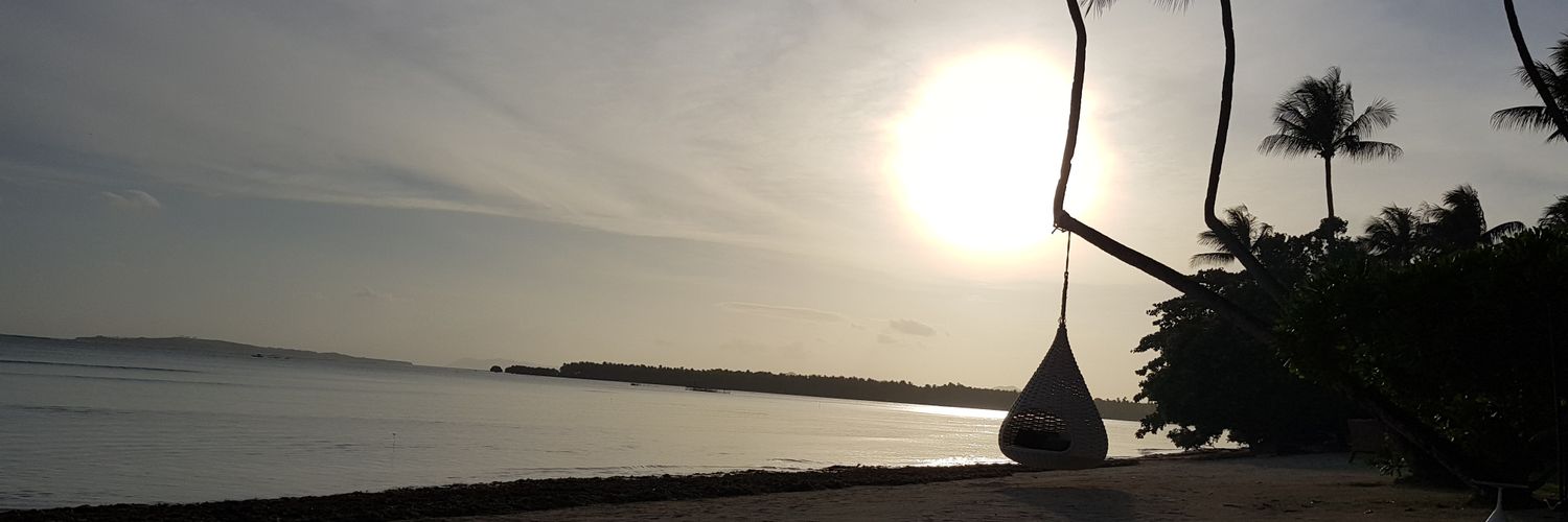 eehilsaca's profile banner image