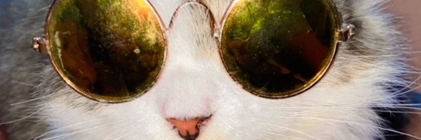 dekca19's profile banner image