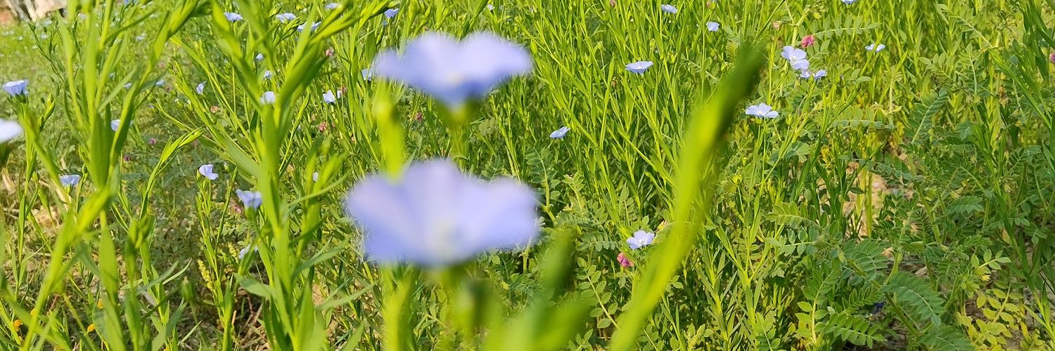 Abhisonavi's profile banner image
