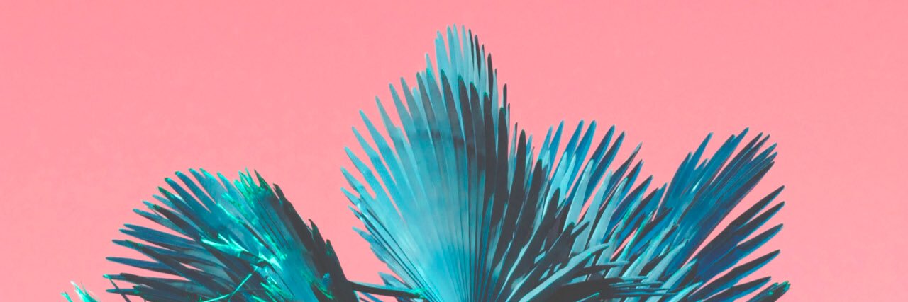 Amita_SF's profile banner image