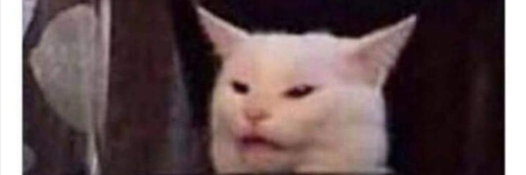 BabiKatMew's profile banner image