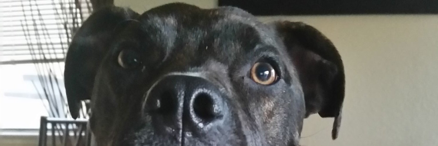 shaneup1's profile banner image