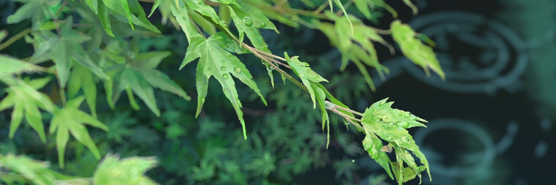 Hill_Me's profile banner image
