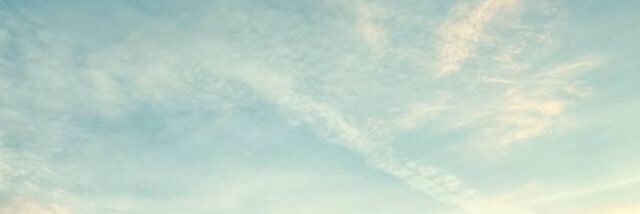 steph_craddick's profile banner image