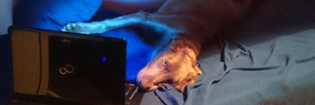 Silverdog__'s profile banner image