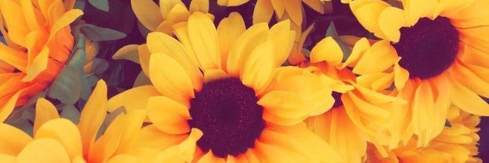 Ana María banner