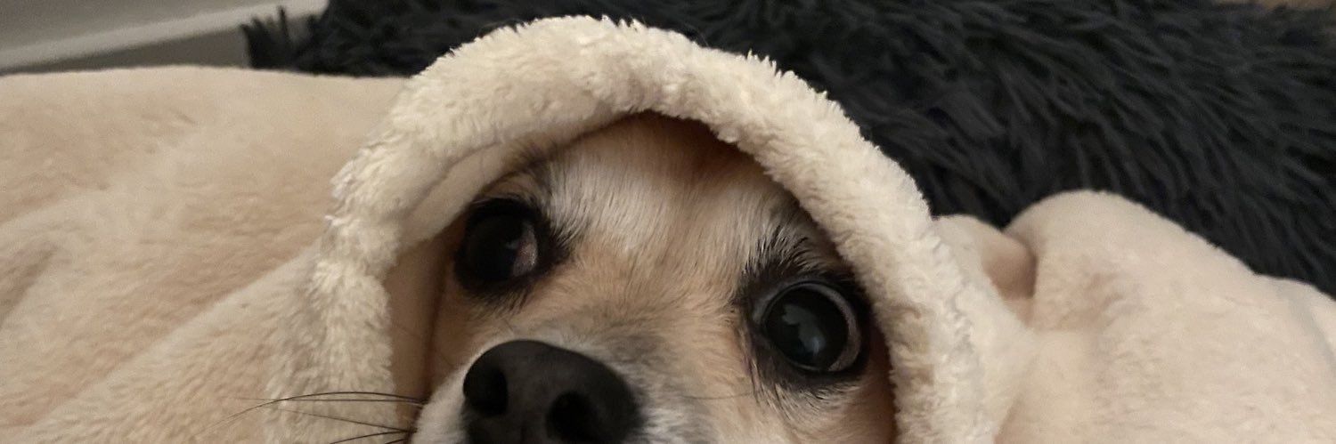 Mishmelloo's profile banner image