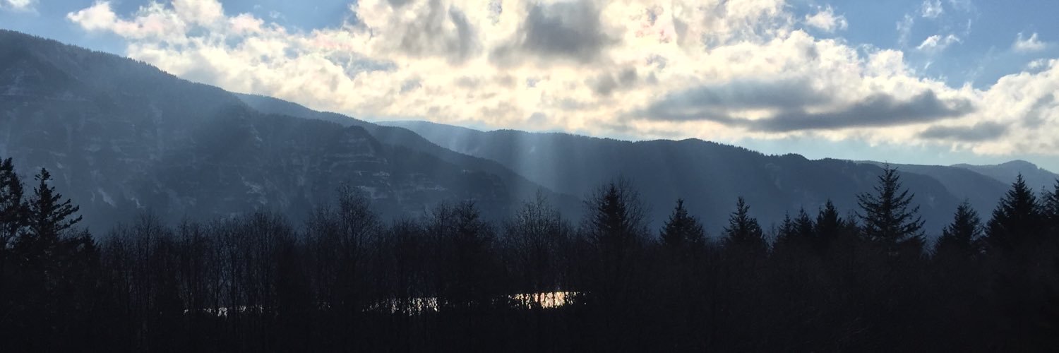 katy_guess's profile banner image