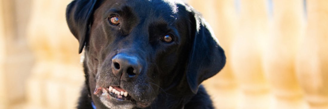 keddlemon's profile banner image