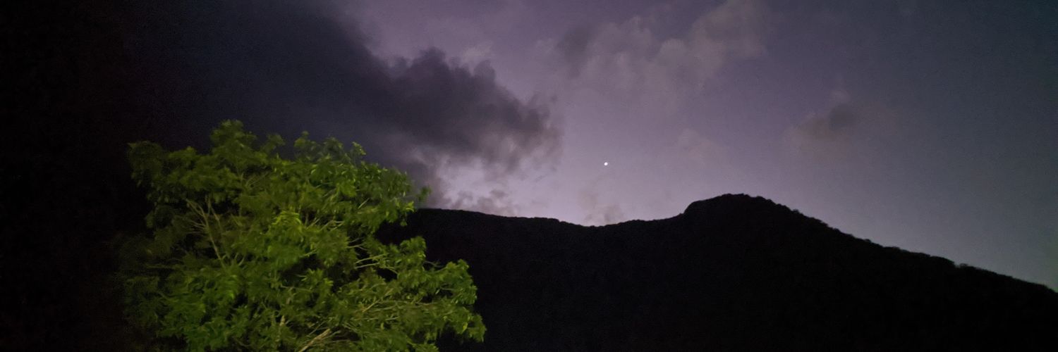 ShroomsOnMars's profile banner image