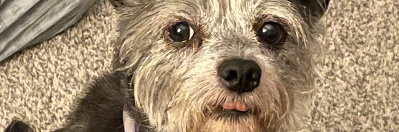 JoshLowe21's profile banner image