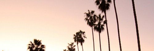 vrousso_'s profile banner image
