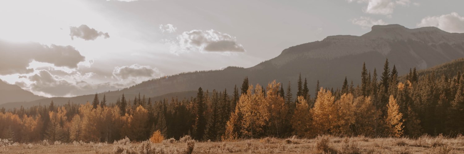 TaylorJayden's profile banner image
