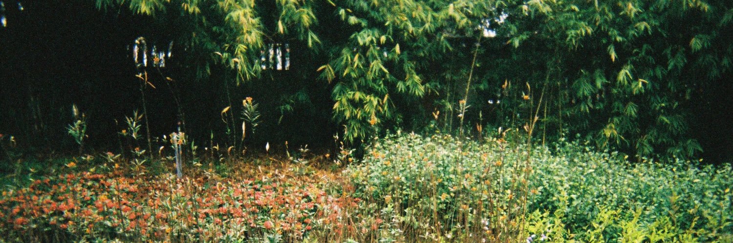 檜山真有 maaru hiyama banner