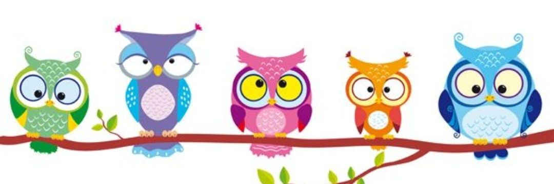 calipso_sol's profile banner image