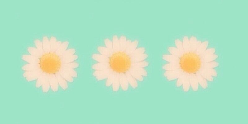 Nacchi1d's profile banner image