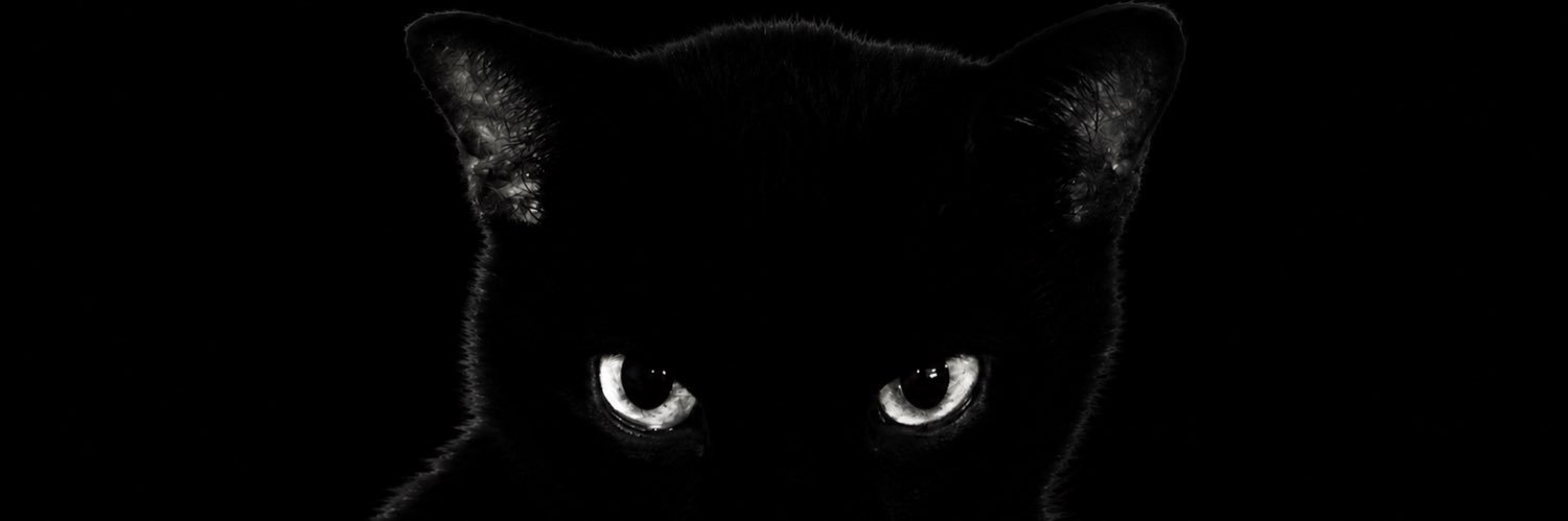 cillalalalaaa's profile banner image