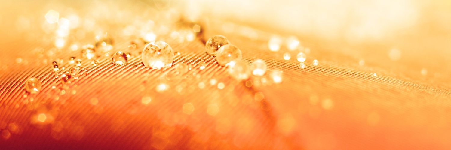 senthurk12's profile banner image