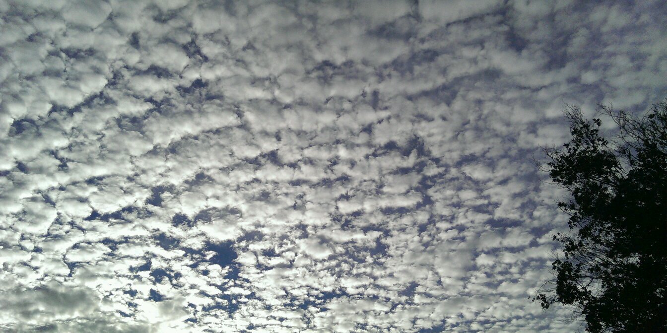 Christine Riley banner