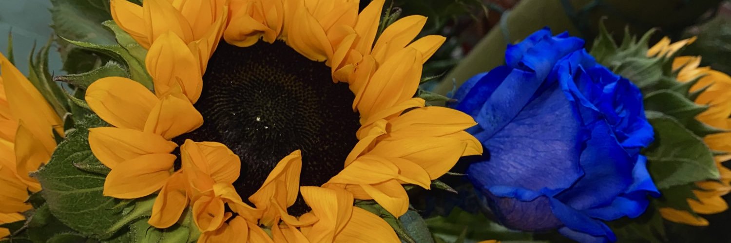suppjessica's profile banner image