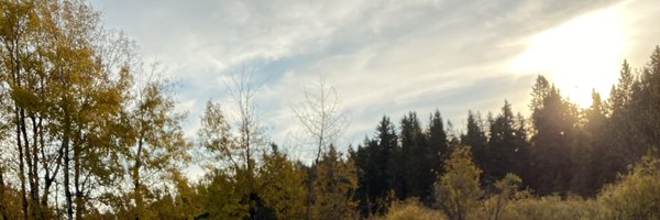 CoppersMama Profile Banner