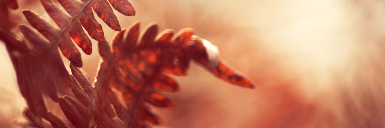 keriannlee's profile banner image