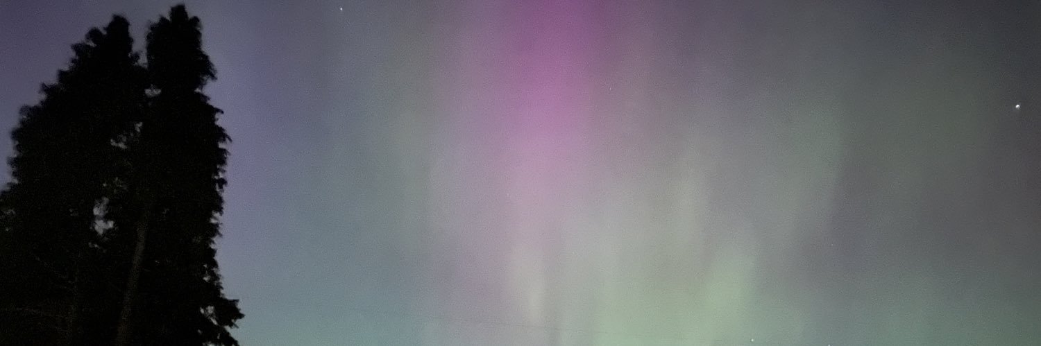 sierraFlyfish's profile banner image
