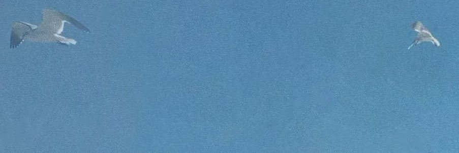 yvrskr's profile banner image