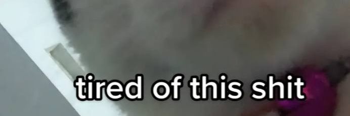 amxlchan's profile banner image