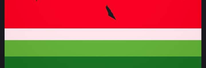 Bill Ben banner