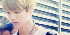 XiLuHan88EXO's profile banner image