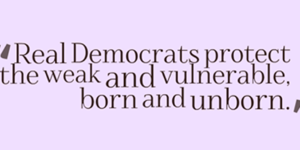 ProLifeFeminist's profile banner image