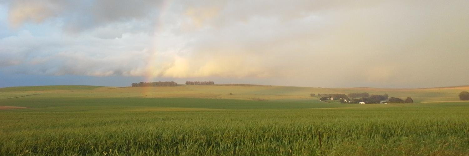 Celine M. AWUOR banner