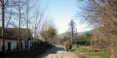 ComiteElPoloMachali banner