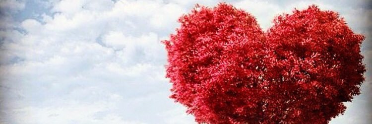 JuliaProkopchuk's profile banner image
