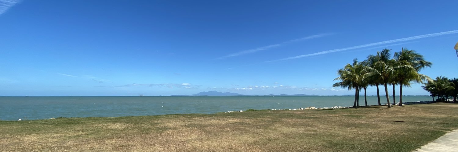 penangstrays's profile banner image