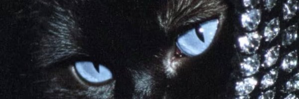 FbioAlexandre19 Profile Banner