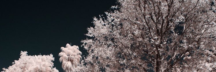 AisyaAsir's profile banner image