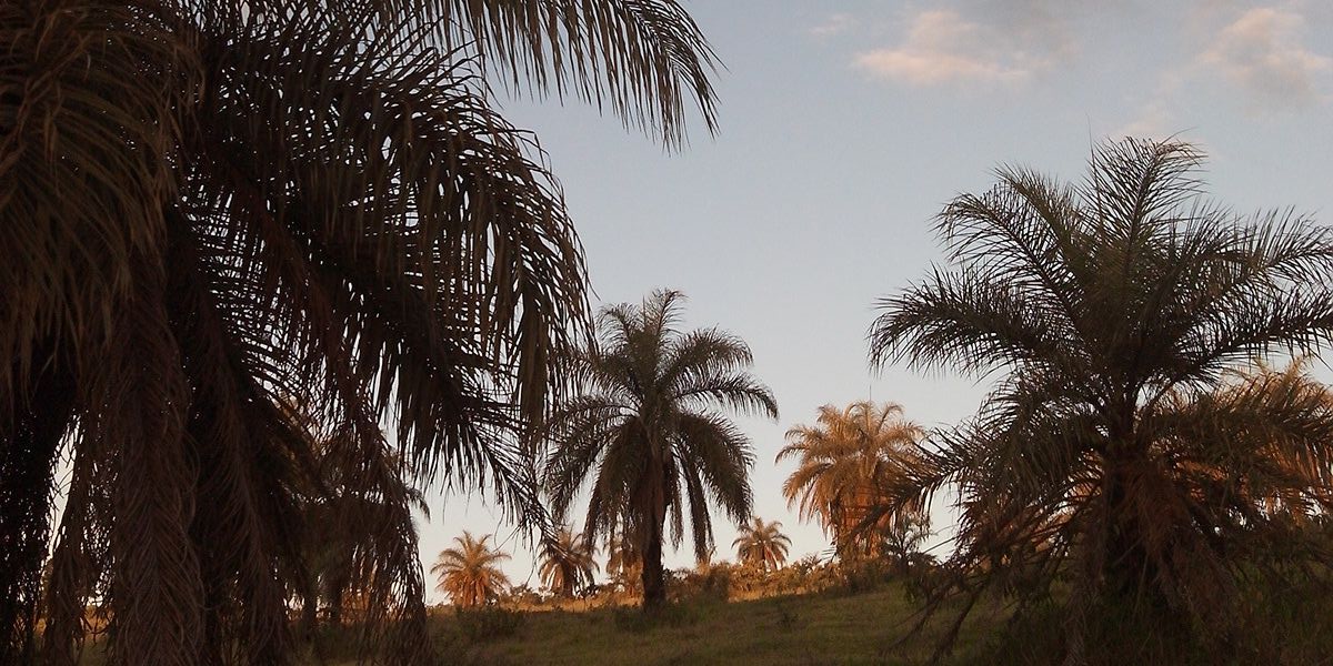 Eduardo Gusmão Pereira banner