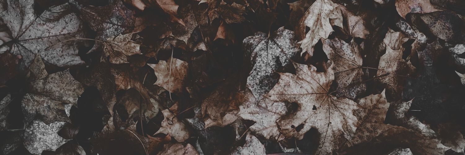 Drochbox's profile banner image