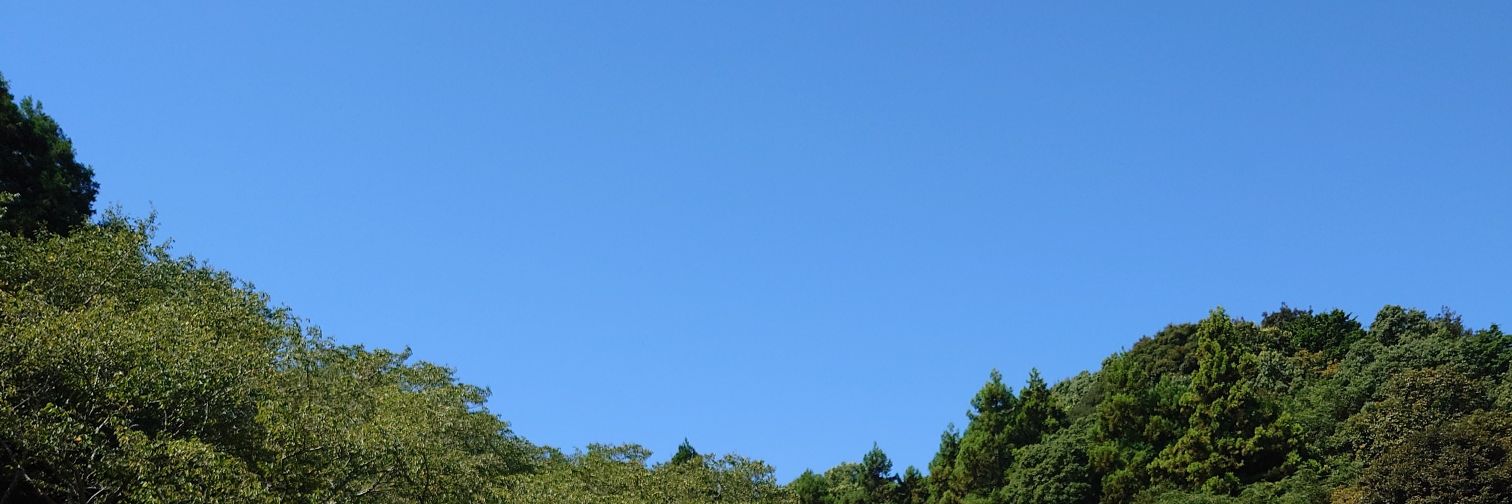mnk3735's profile banner image