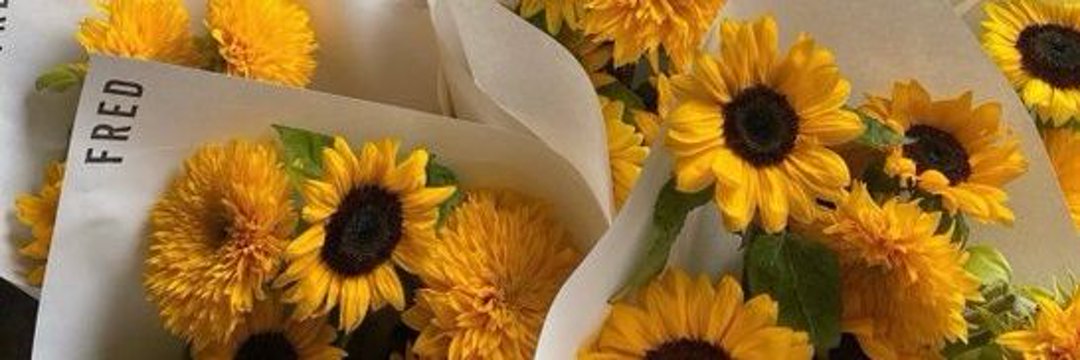 மஞ்சள் 💛 நிலா banner